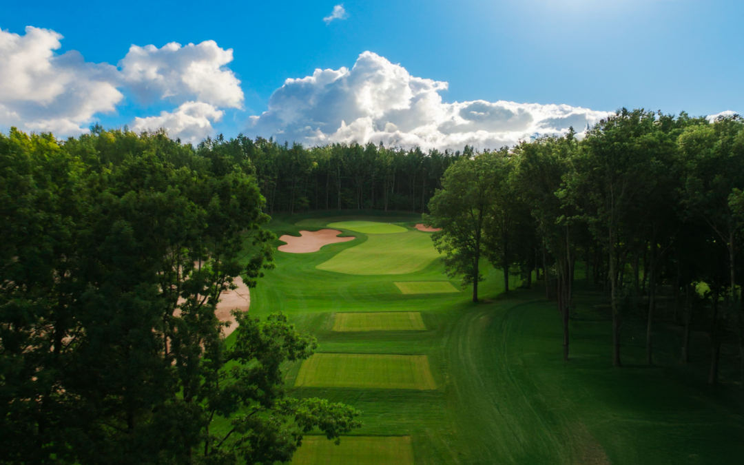 Pourquoi choisir un terrain de golf 18 trous pour votre prochaine partie ?