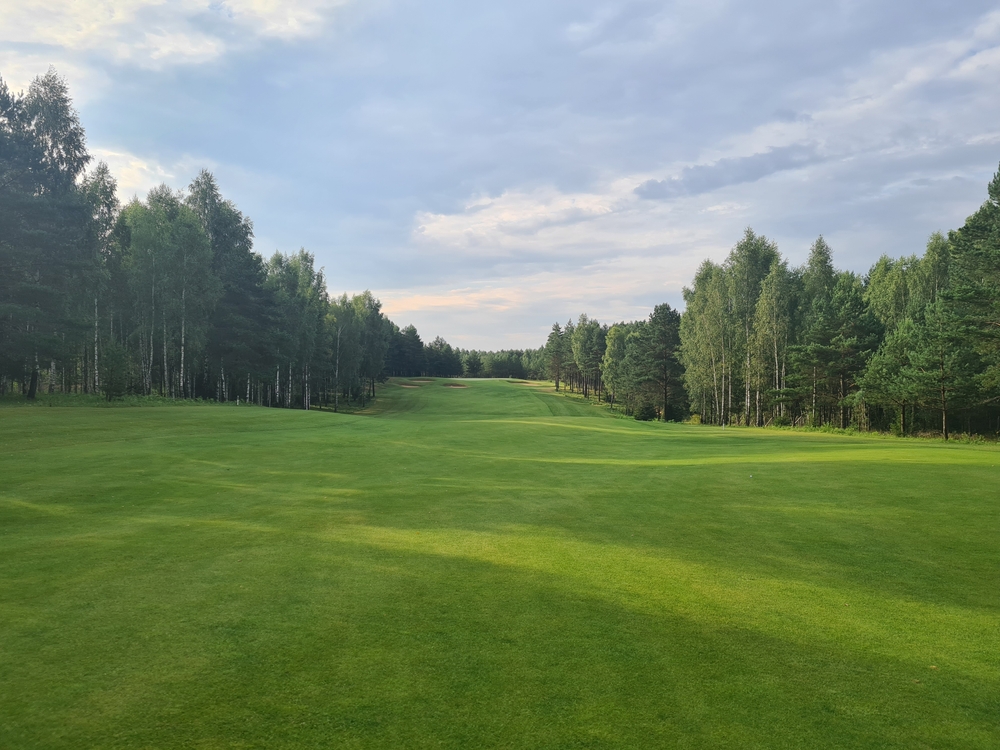 Paysage verdoyant d’un terrain de golf entouré d’arbres en fin d’après-midi, dans un cadre naturel paisible.